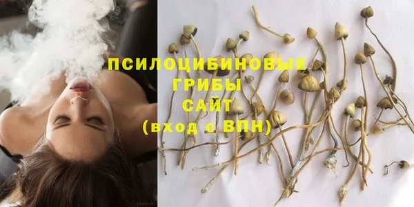 гидропоника Арсеньев