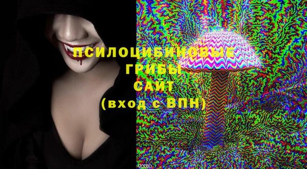 ПСИЛОЦИБИНОВЫЕ ГРИБЫ Армянск