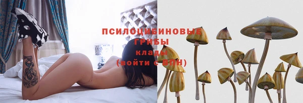ПСИЛОЦИБИНОВЫЕ ГРИБЫ Армянск